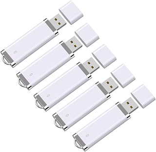RAOYI 5 Pack 8GB USB Flash Drive Bulk Pack Memory Stick Thumb Drive 8G USB 2.0 Jump Drive Pen Lighter Shape, White