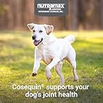 Nutramax Laboratories Cosequin Maximum Strength Joint Health Supplement for Dogs - With Glucosamine, Chondroitin, MSM, and Hyaluronic Acid, 75 Chewable Tablets (Pack of 1) - Image 3