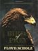 Birds of Prey