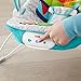 Fisher-Price Fun 'n Fold Bouncer