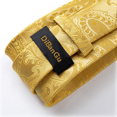 Image of DiBanGu Silk Ties for Men Necktie and Lapel Pin Brooch Set Formal Woven Paisley Plaid Striped Solid Tie Wedding Party
