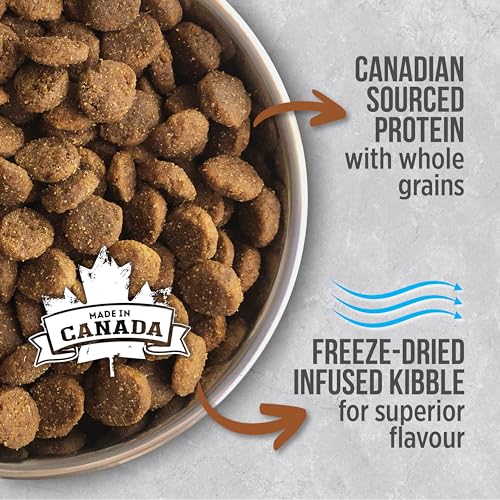 Nutrience Infusion Healthy Senior Dog Food, 10 kg (22 lb), Freeze-Dried Canadian Chicken, Dry Dog Food, Nourriture Pour Chien, Manger Pour Chien image 2