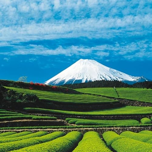 EP.73 靜岡篇(四) 連德川家康也瘋狂的名產