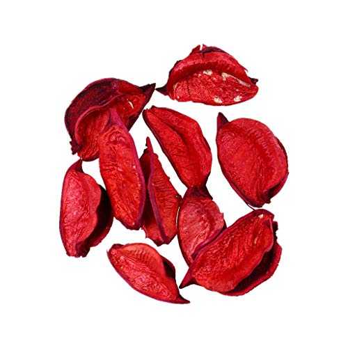 XIANGMENG Lâmpada decorativa de cúpula de vidro rosa artificial com fita de LED, luz noturna de LED