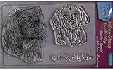 Sweet Dixie SDCSA6163 Tampon transparent Cavalier King Charles Spaniel et Golden Retriever, format A6