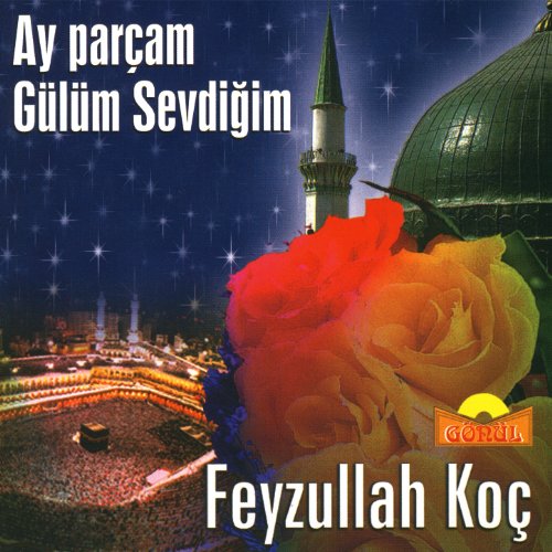 Amazon.co.jp: Ay Parçam Gülüm Sevdiğim : Feyzullah Koç: デジタルミュージック