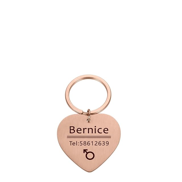 Personalized Engraved Cat Dog Pet ID Tag Dog Anti Lost Collar Charm Pet Name Collar Puppy Cat Collar…
