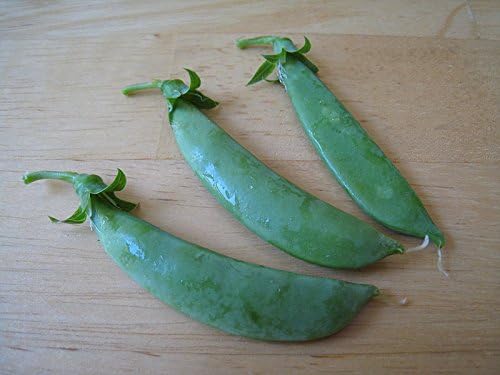Pea Sugar Snap Great Heirloom Semillas de vegetales de 1 libra