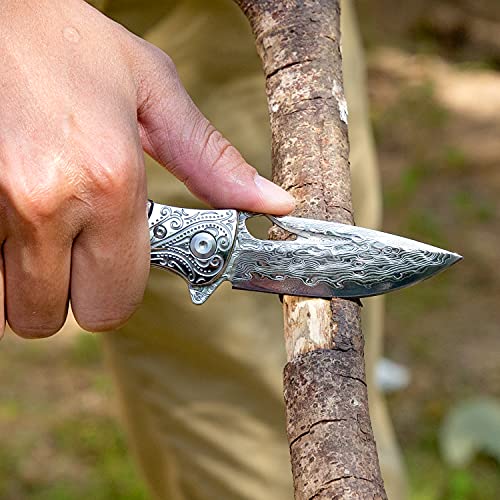 Turenz Edc Pocket Knife With Sheath, 2.8In Damascus Steel Blade, Desert Ironwood And Stainless Steel Handle, Ball Bearing Flipper Folding Knives For Tactical And Outdoors #TOP7