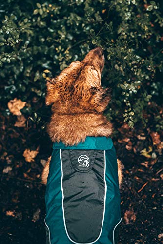 Embark Pets Capa de chuva, leve e impermeável para cães - grande, azul e cinza, ajustável, refletora