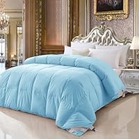 Amazon｜SCTX 羽毛掛ふとん ダブルサイズ 掛け布団 掛布団 180*2203kg