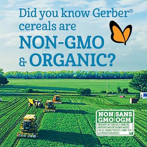 GERBER Stage 2 Wheat Banana Strawberry Baby Cereal, 6 Boxes, 1.4 kg — view 6
