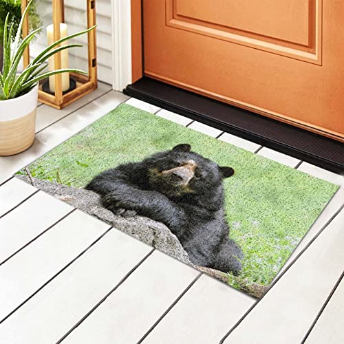 Paillasson intérieur et extérieur PVC tapis de sol 60x40 cm