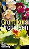 orchideen vermehren samen  Grundkurs Orchideen: Arten - Pflege - Vermehrung
