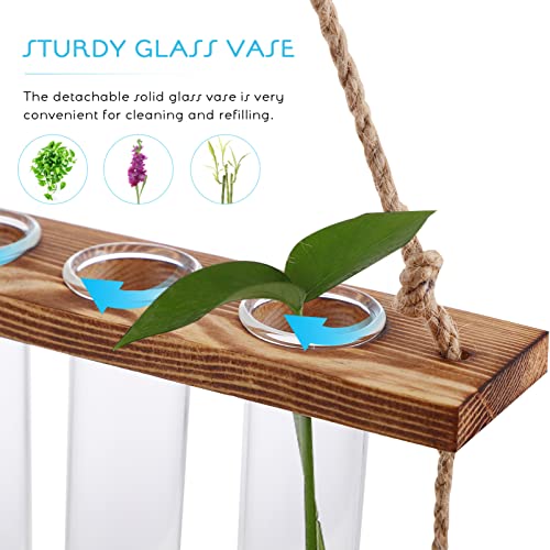 iplusmile Hanging Propagation Station for Plants Glass Test Tube Vases with Wooden Rack Sticky Hooks Nail Hooks Cleaning Brush Plant Supplies for Office Home - Image 3