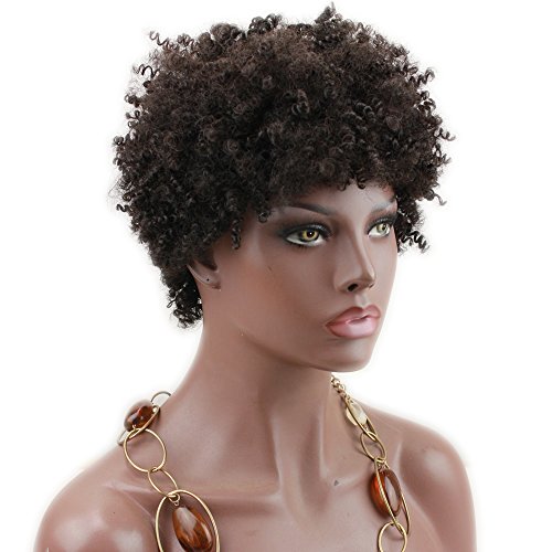 Dreambeauty Short Small Curly Wigs Brazilian Human Hair Short Afro Kinky Curly Wigs Cheap Human hair Wigs for Women