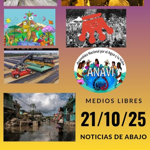 Noticias de Abajo 21 de octubre del 2025