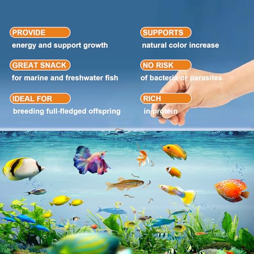 Capuca Freeze Dried Blood Worms For Fish 3 Oz - 100% Natural Bloodworms Fish Food For Freshwater Saltwater Tropical Fish Betta Cichlid Goldfish Guppy thumb #5