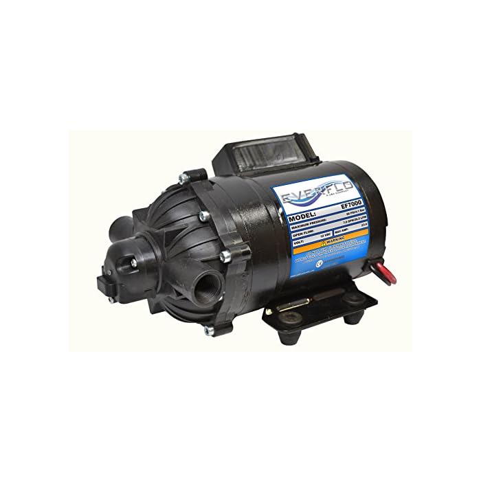 Buy Liquid DeIcer, Brine, Chloride Diaphragm Transfer Pump EVERFLO 12