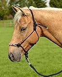 Geschlecht: Pferd Wildhorn Knotenhalfter Indian Spirit (schwarz, Warmblut)