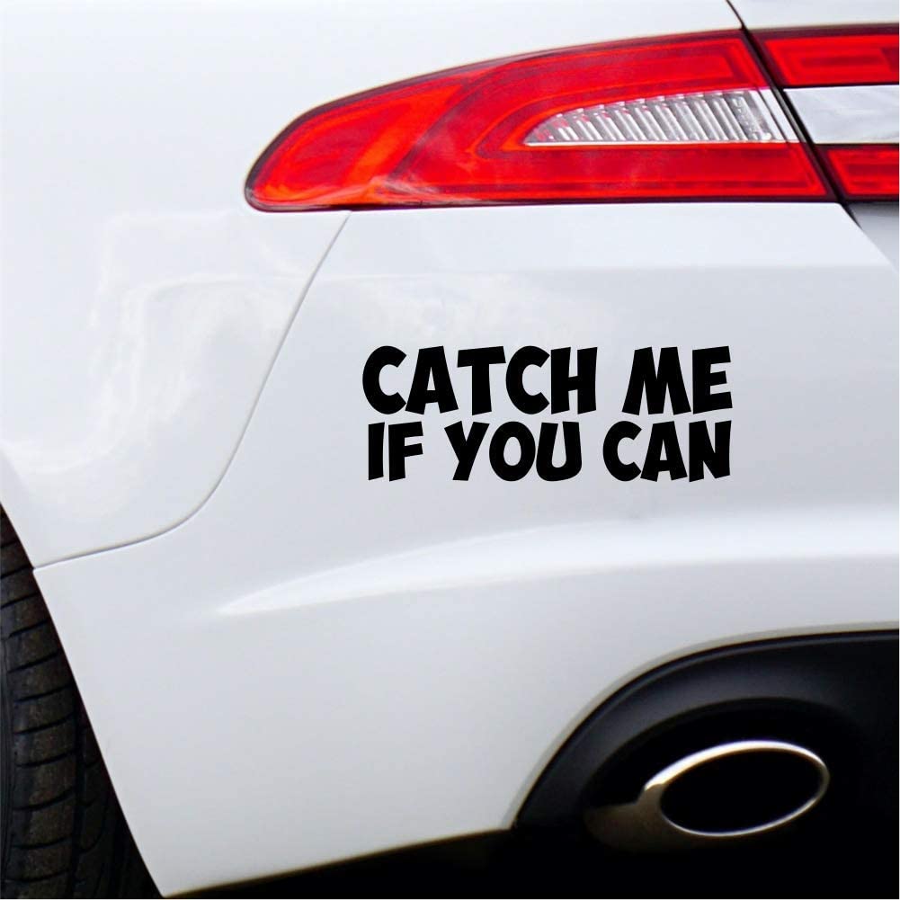 38K Vinyl Graphics White Catch Me If You Can Sticker Funny Car Sticker Window Bumper Caravan Decal