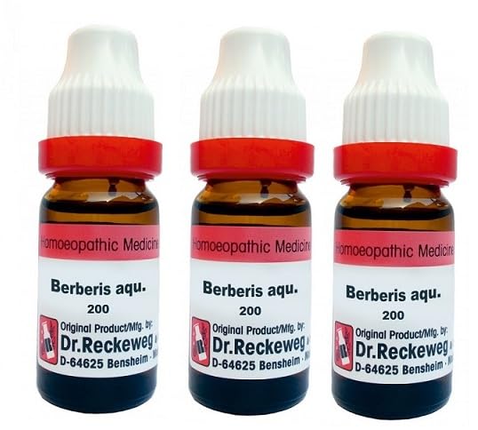 BERBERIS AQUI 200 11ML Dr. Reckeweg (Pack Of 3)