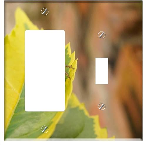 RockerGFCI Toggle Combination Wall Plate Cover - Nature Insects Spider The Virginia Quindio