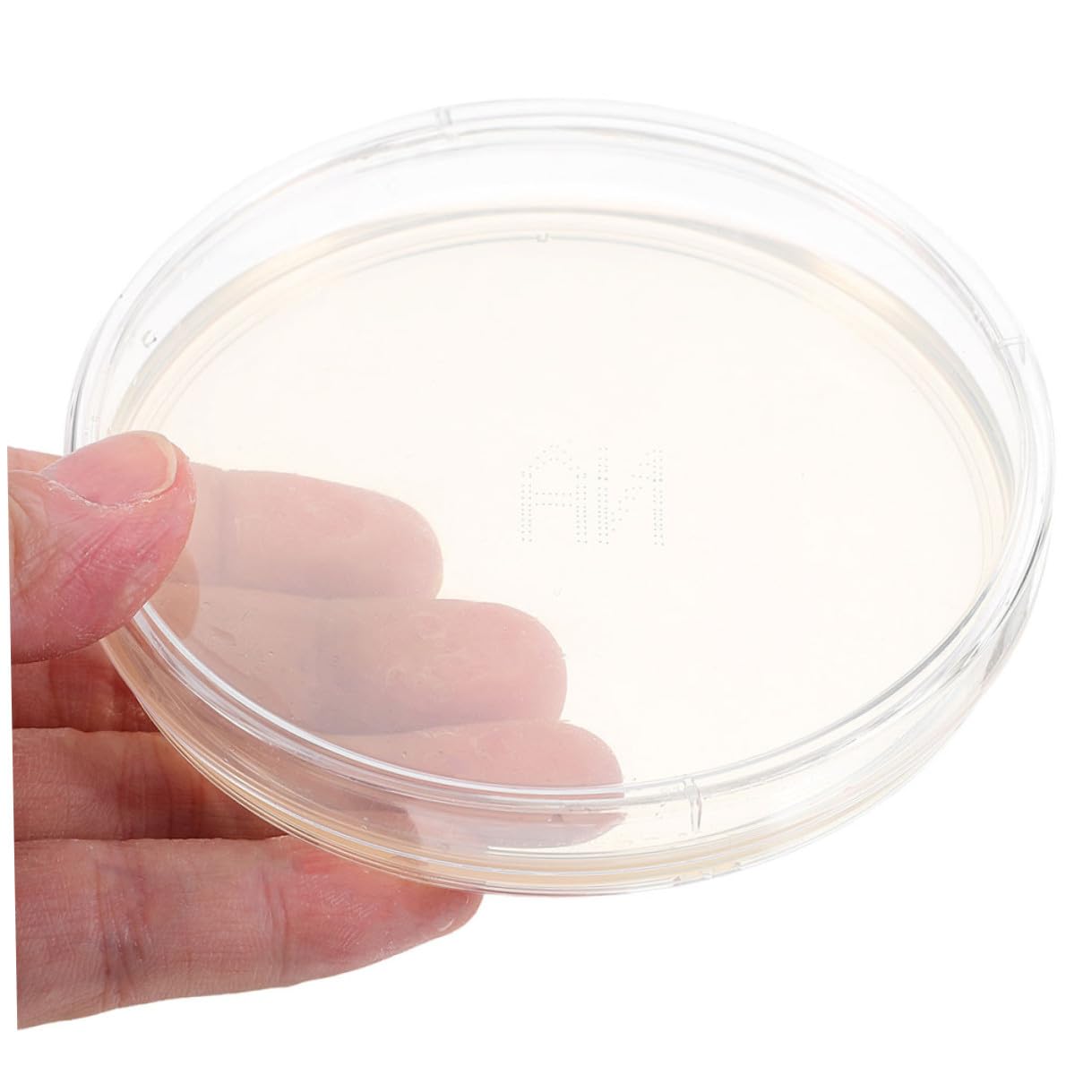 10pcs 6cm Nutrient Agar Petri Dishes for Culture, Laboratory Specimen Storage Plates, Cell Culture Set for Science Experiments and Research