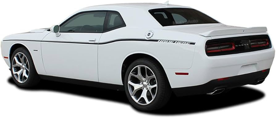 美品 希少 CHALLENGER 19SS ORIGINAL STRIPE 美品 希少 CHALLENGER 19SS ORIGINAL STRIPE