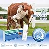 Bovine Pregnancy Test Kit (2 Tests) | Vet-Approved Urine Test for Cows | Detect Early Pregnancy in 5-10 Minutes | No Vet Visit Needed | Ideal for Small Farms & Homesteaders | Safe, Accurate & Easy #1