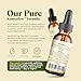 Amazing Botanicals Platinum Kanna Extract Tincture – 25mg Sceletium Tortuosum | 80% Mesembrine | 5.5% Alkaloids | Supports Calm & Focus | Vegan, Non-GMO, USA Made, Sugar & Alcohol-Free Drops - 1oz