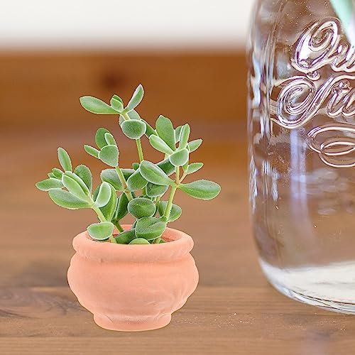 BESPORTBLE Mini Terracotta Pot Small Mini Clay Pots 6Pcs Ceramic Terracotta Pot Pottery Planter Flower Pot Succulent Nursery Pots for Window Boxes Cactus Plants Crafts - Image 3