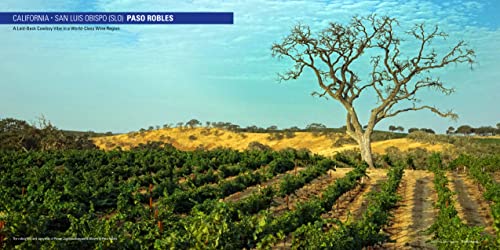 International Exploration Society Higgins Phd, Michael C. Exploring Wine Regions – California Central Coast: Discovering Great Wines, Phenomenal Foods And Amazing Tourism thumb #6