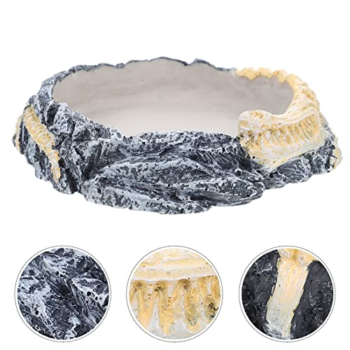 Ipetboom Bebedouro De Tigela De Comida De Lagarto Recinto Para Répteis Comedouro De Lagartixa Comedo