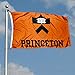 Princeton Tigers University Large College Flag