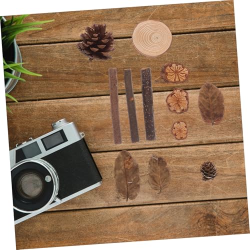 Conjunto decorativo natural de frutas secas y flores ULTECHNOVO miniatura 7