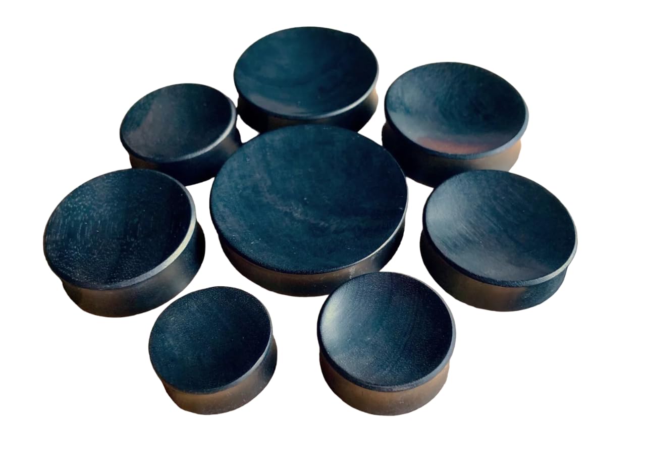 Lobal Domination PAIR of Unique Concave Areng Wood Organic Plugs - Gauges - Large Sizes Body Jewelry