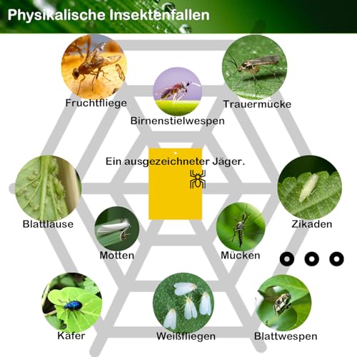 40 Gelbtafeln gegen trauermücken, Fliegenfalle gelbsticker Klebrige Insektenfallen, fruchtfliegenfalle Kirschfruchtfliege raupenleim pflaumenmadenfalle,Falle für Weiße Fliegen, Thripse zuverlässig