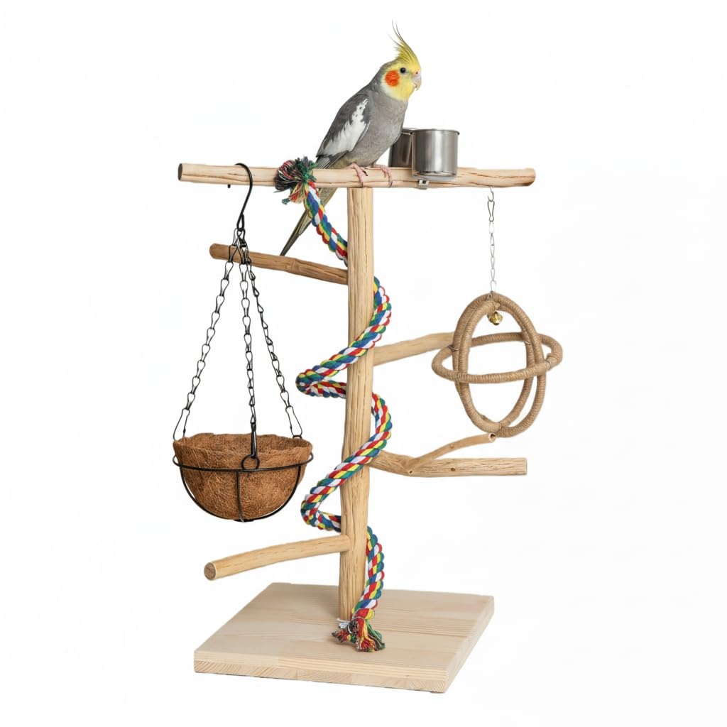 Vogel Sitzstangen, Vogelspielzeug, Naturholz-papageienständer mit Feeder-Cup, Schaukel, Nest, Papageien Vogelspielplatz und Ruhestation für mittelgroße Vögel, Nymphensittich, Mönchssittich, Großer Akt