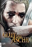  Die Chronik der Unsterblichen - Glut und Asche (Andrej und Abu Dun 11)