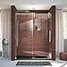 DreamLine SHDR-6260760-08 Shower Door, 56-60" W x 76" H, Polished Stainless Steel
