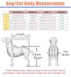 Carrello Cani Disabili Sedia a Rotelle per Cani Disabili Di Piccola/grande Taglia, Girello per Cani con Mobilità Assistita per Zampe Posteriori, Dispositivo di Recupero Posteriore per Bassotti a 2/4 R
