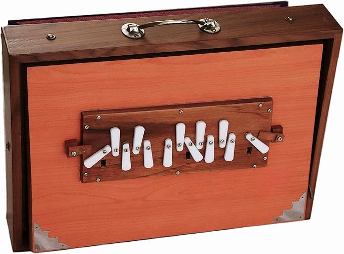 Shruti Box Ply Boitier pour instrument de musique avec sac accordé 440 Hz, couleur naturelle (40,6 x 30,5 x 7,6 cm, 432 Hz sur demande)