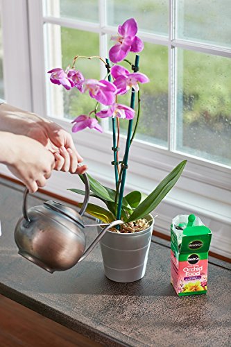 Miracle-Gro Water Soluble Orchid Food, Plant Fertilizer, 8 Oz. #TOP7