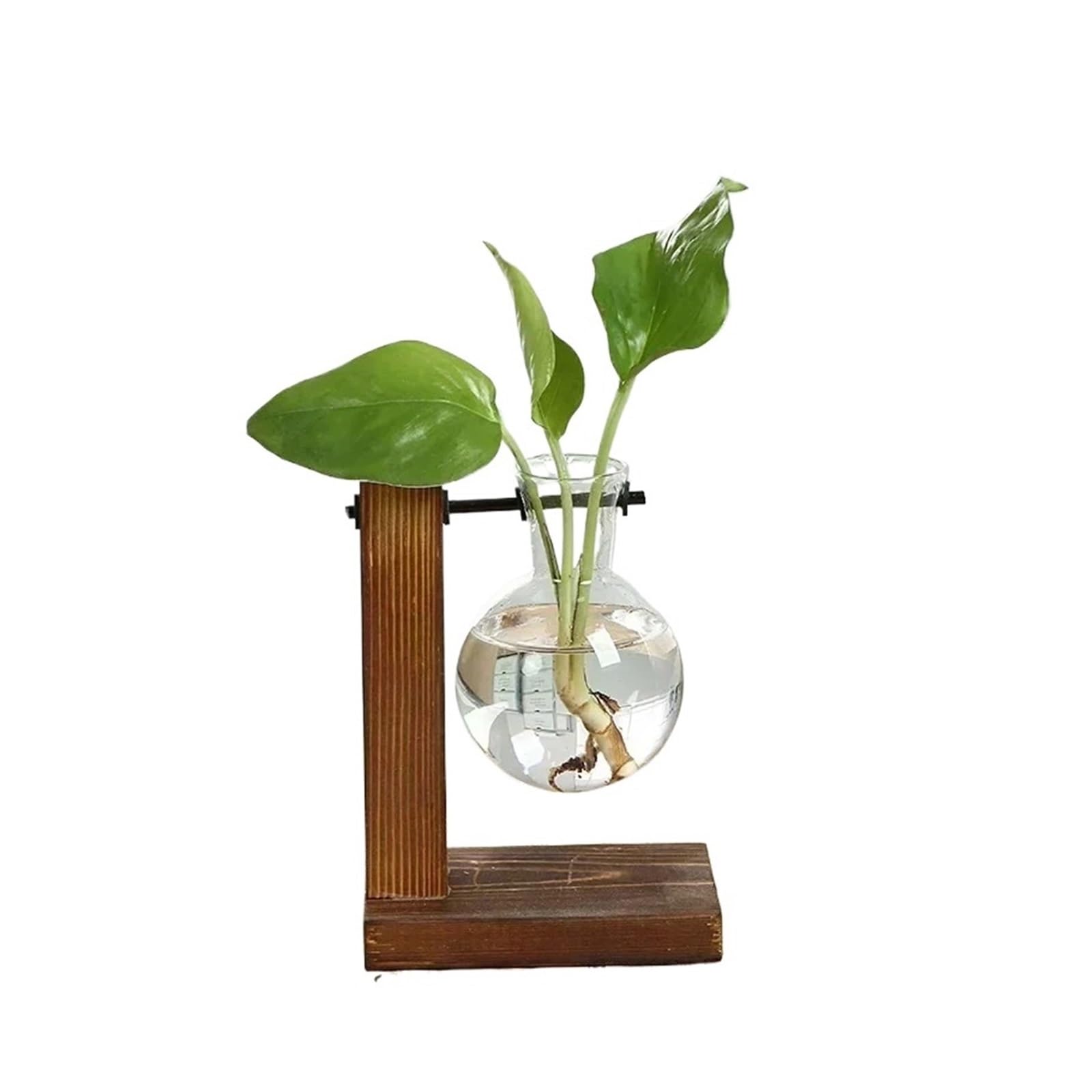 Vase Terrarium Hydroponic Plant Vases Vintage Flower Pot Transparent Vase Wooden Frame Glass Tabletop Plants Home Bonsai Decor(Single Bottle)