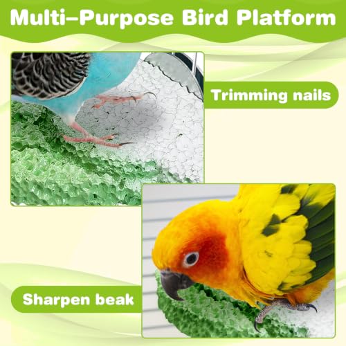Image of PINVNBY 3PCS Bird Beak Grinding Stone Resin Bird Perch Stand Grinding Claw Clouds Birds Cage Perch Parrot Climbing Chewing Toys Parakeet Cage Accessories for Budgies Cockatiels Conures (Green)