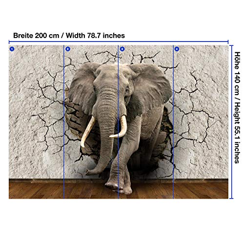 Wandmotiv24 Foto Murale Scoperta della parete