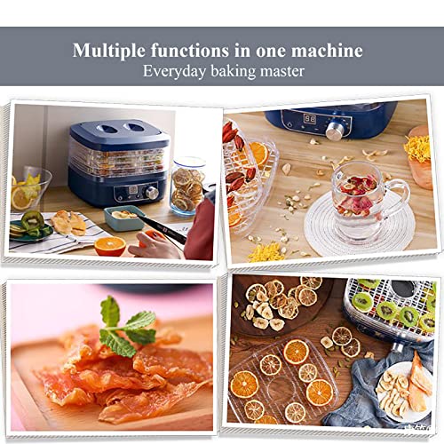 Mini Dörrgerät, Obst 360 ° Zyklus Trockenmaschine Einstellbarer Temp Timer Mit Transparenten Abnehmbaren 5 Tabletts Für… – Bild 3