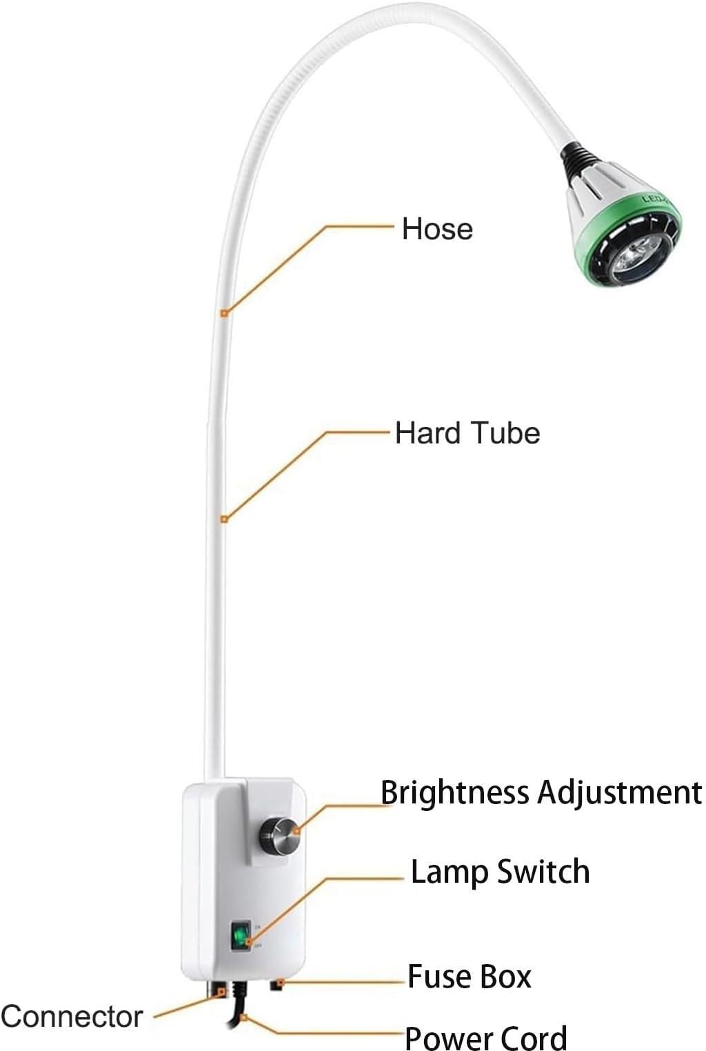 Luces de examen médicas Lámpara Dental De Pared, Lámpara De Exploración De Cuello De Cisne, Ideal For Ginecología, Consultas Externas, Estomatología Y Otorrinolaringología