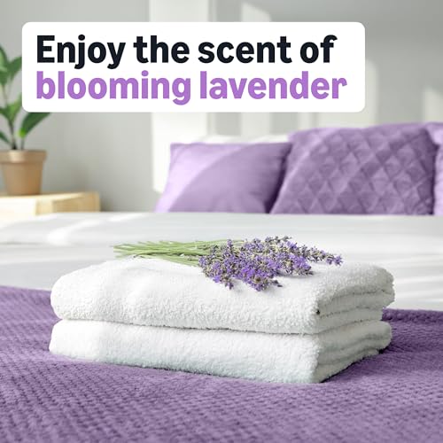 Image of Amazon Basics Dryer Sheets Laundry Fabric Softener, Blooming Lavender, Reduces Static Cling, Fights Wrinkles, 160 Count
